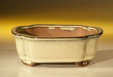 Beige Ceramic Bonsai Pot - Rectangle<br><i>6.125 x 5.0 x 2.125</i>