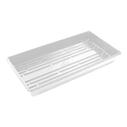 Casafoyer Casafoyer White Extreme Durable Propagation Tray - Single Unit ( Pack of 2 )