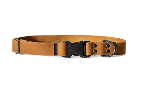 Sport Style Luxury Leather Dog Collar