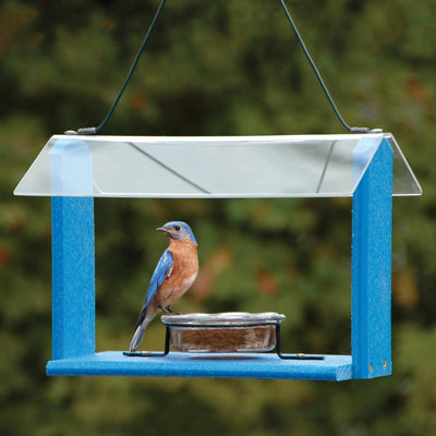 Going Green????????Bluebird Feeder - Blue