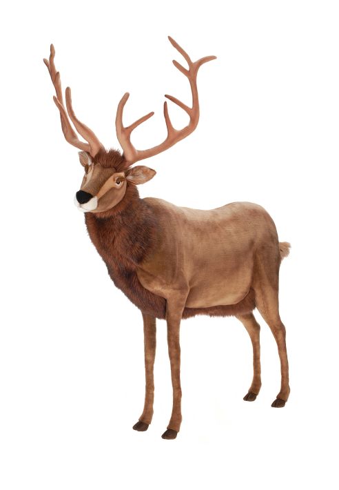 Reindeer, Ex Large 60''