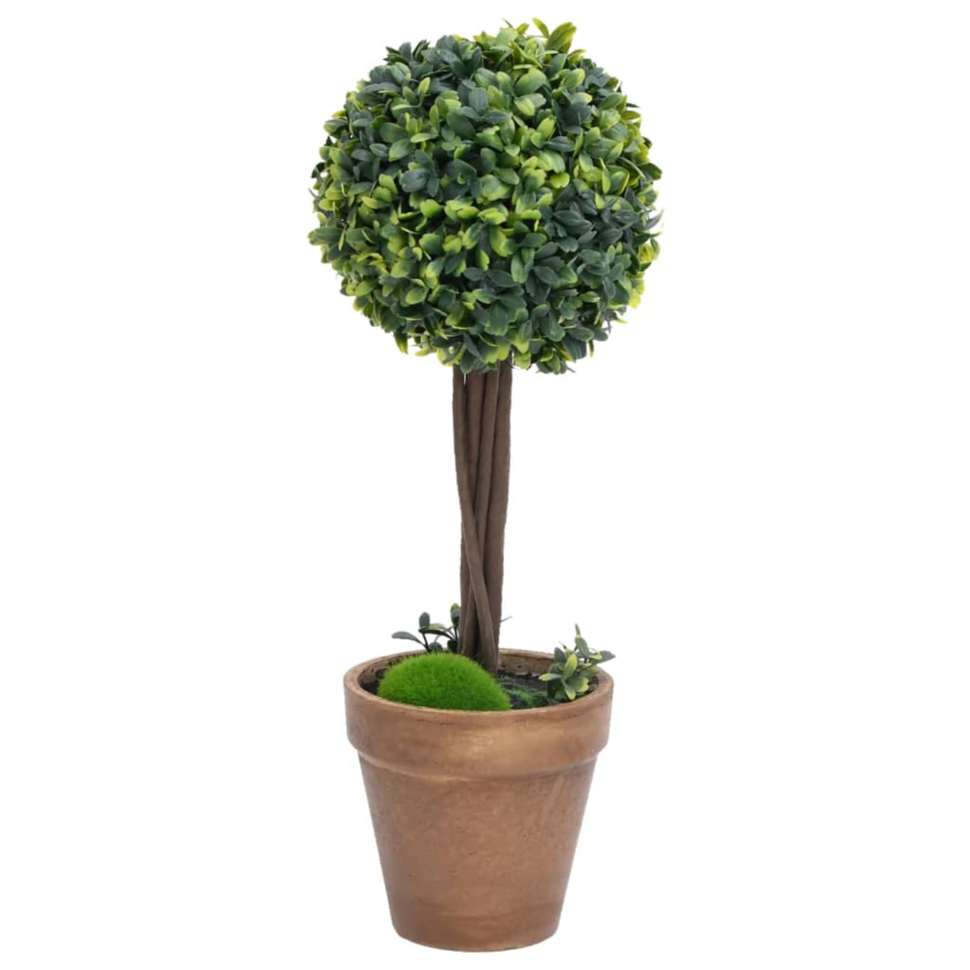 Vidaxl Artificial Boxwood Plants 2 Pcs With Pots Ball Shaped Green 22'
