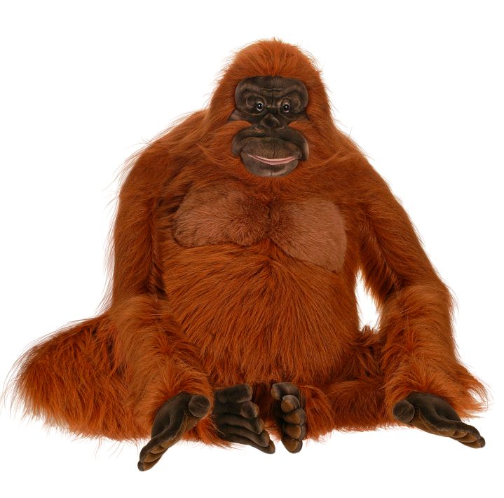 Orangutan, Life Sz 40''L