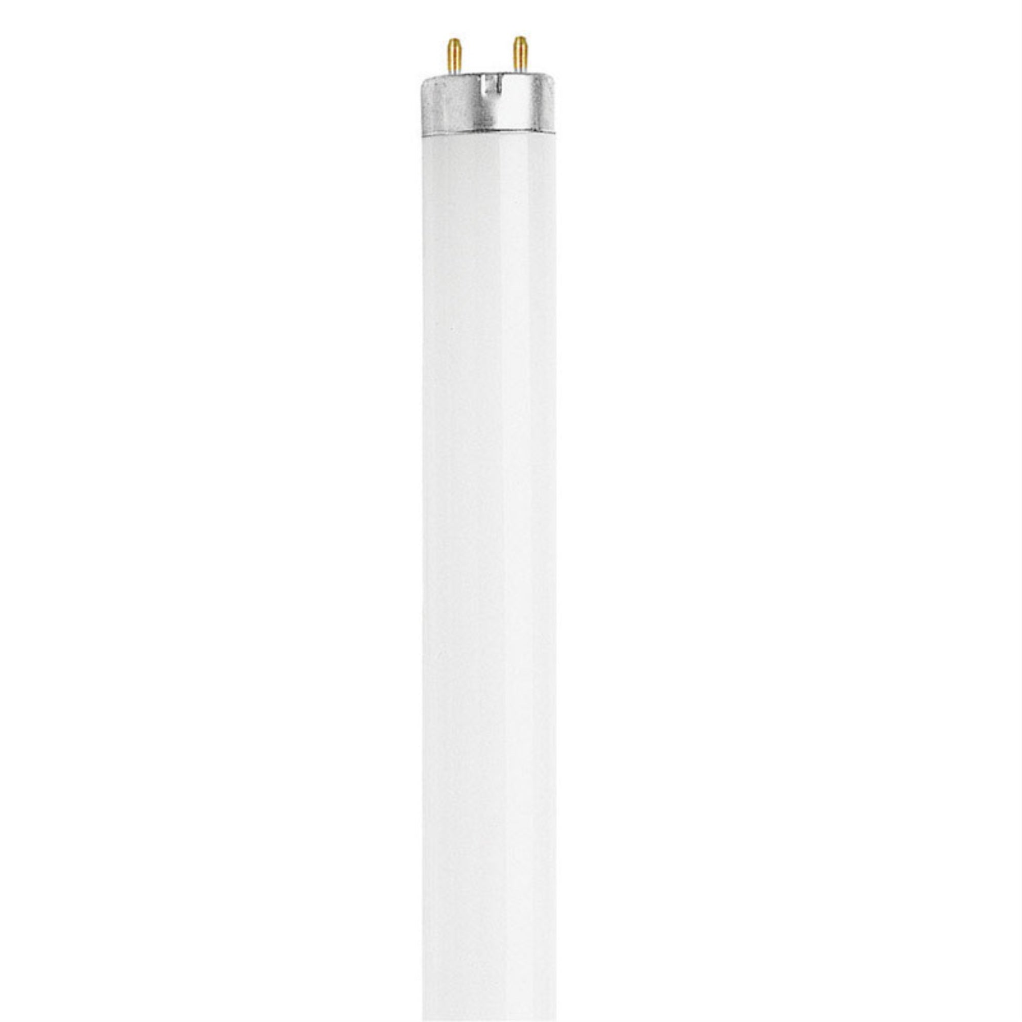 Lfl Bulb 15W T8 18 (Pack Of 6)