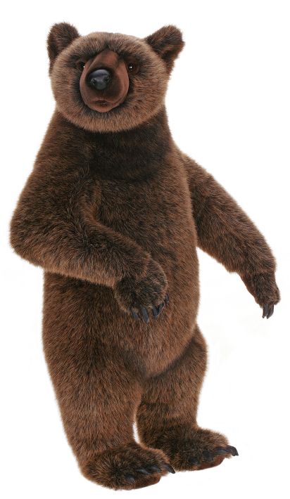 Grizzly Yogi 26''