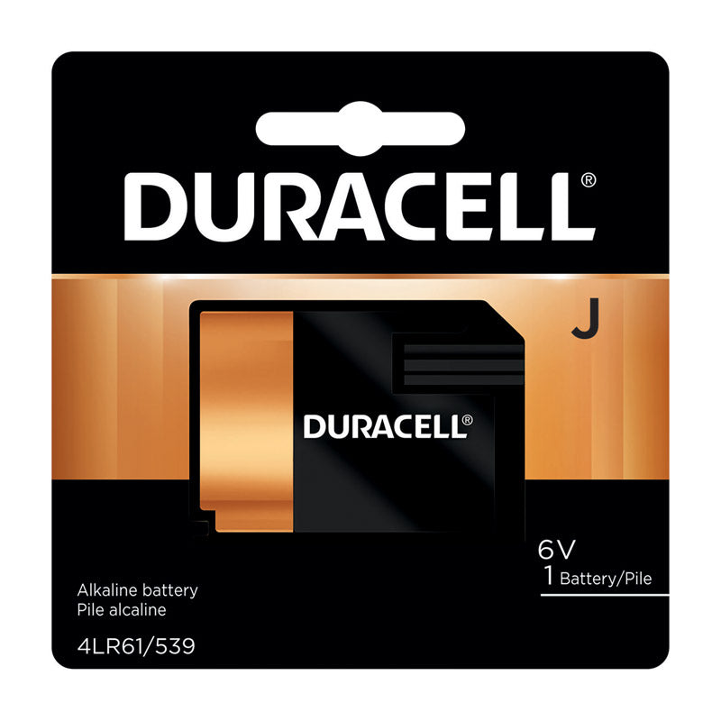 Battery-Photo Flat6V 67 (Pack Of 1)