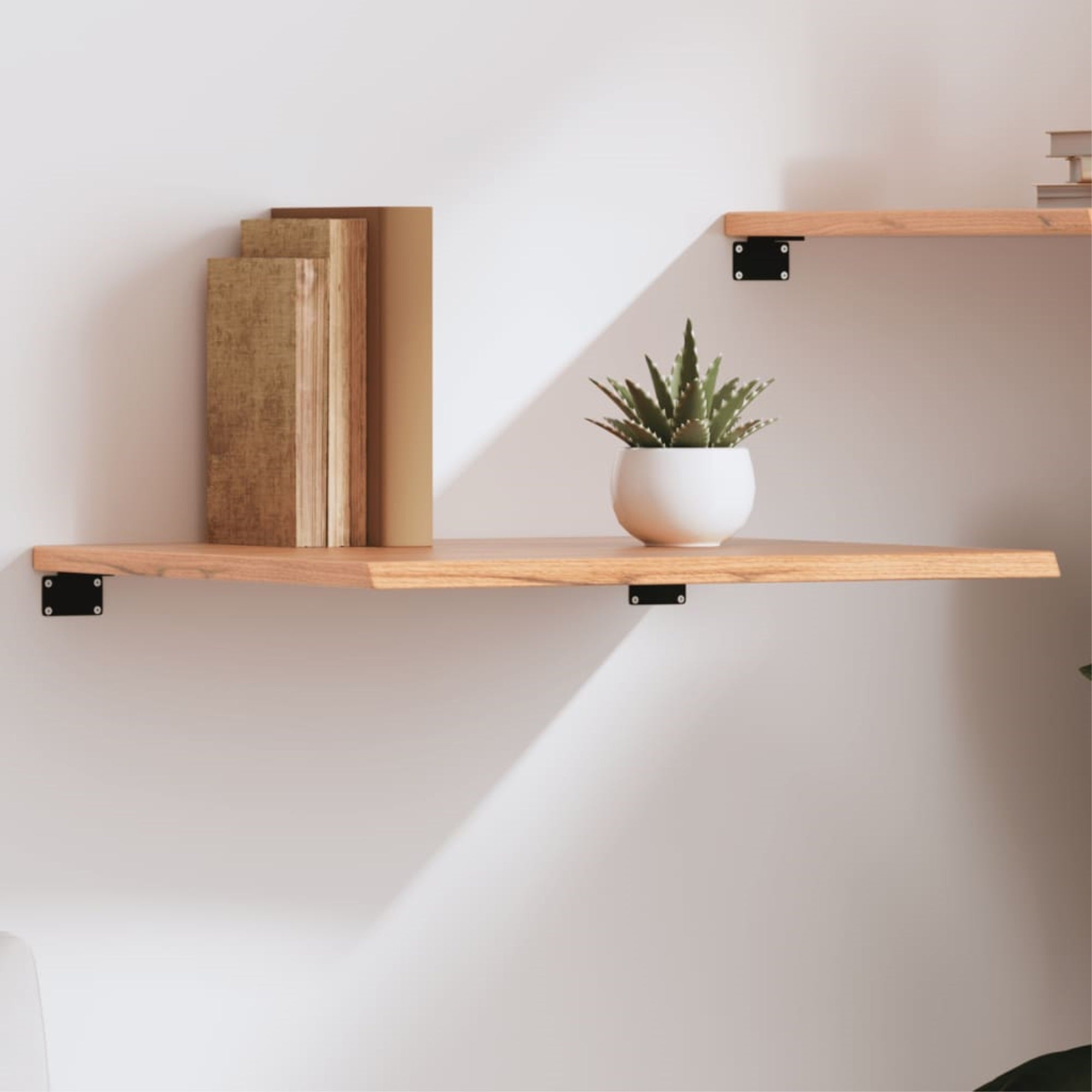 vidaXL Wall Shelf Light Brown 23.6″x23.6″x0.8″ Treated Solid Wood Oak