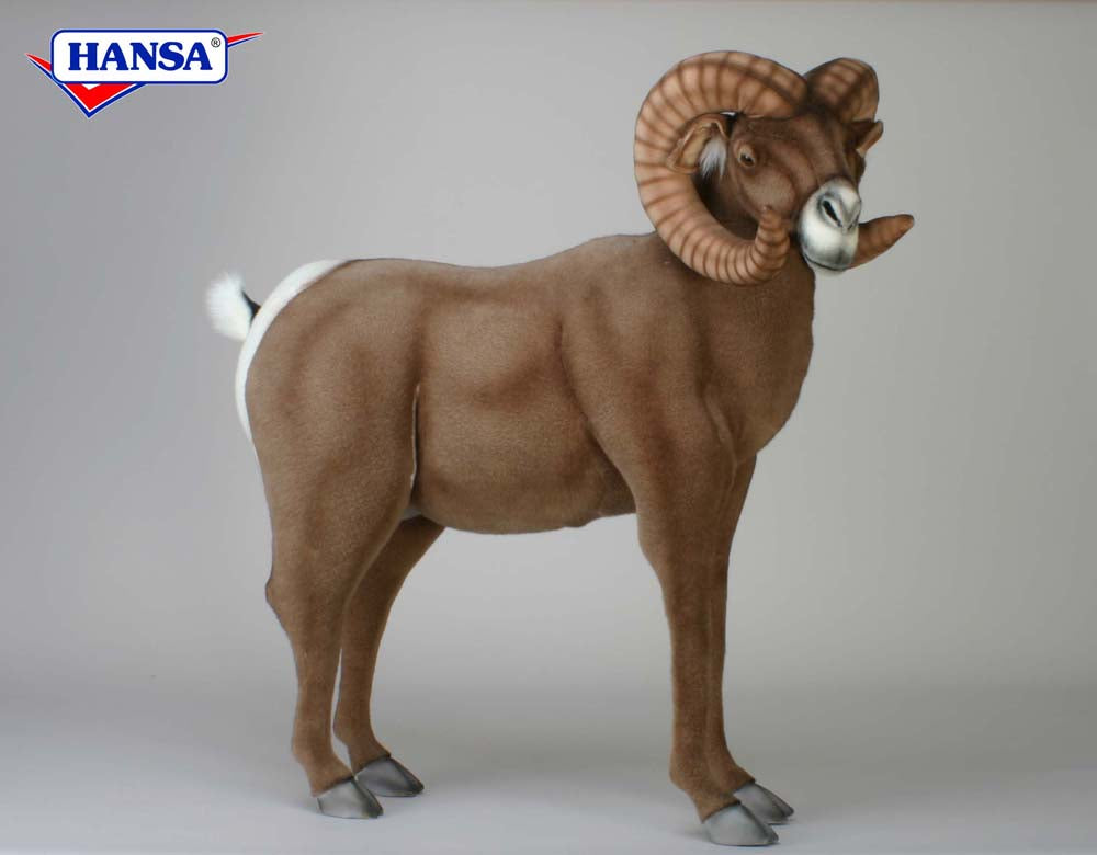 Big Horn Ram 37X41''