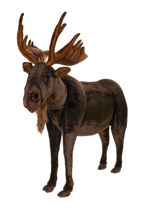 Moose, Ride-On 49''L