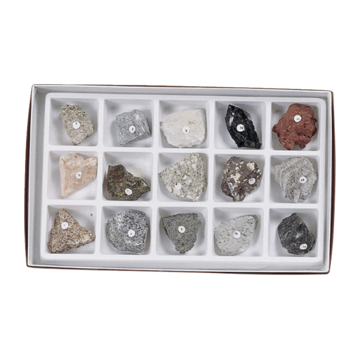 Scott Resources Igneous Rock Collection, Set Of 15