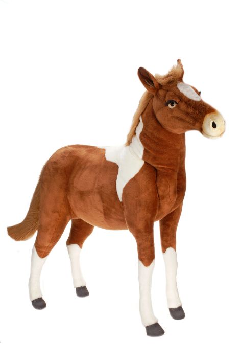 Paint Pony Life Sz 60''