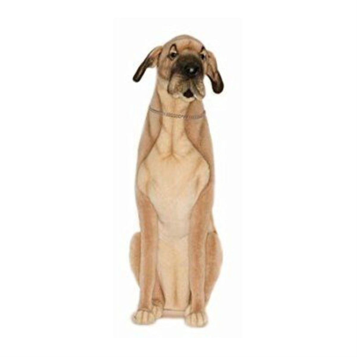 Great Dane Brown 35''H