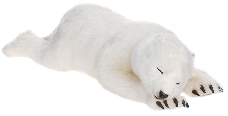 Polar Cub Lg Sleep 41''L