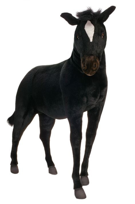 Black Pony Life Sz 55''