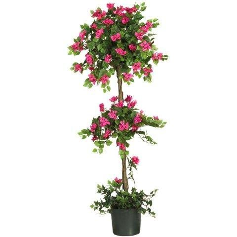 5 Mini Bougainvillea Topiary