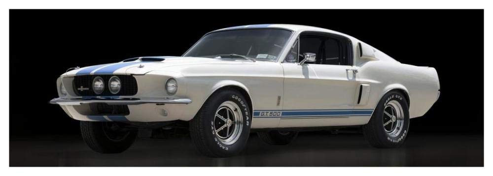 Shelby GT500-Paper Art-56x20”