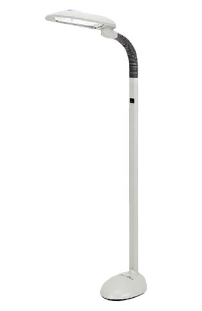 EasyEye Energy Saving Floor Lamp (2-tube)