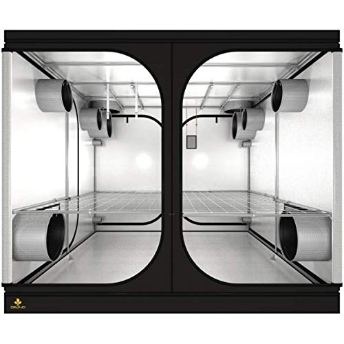 Secret Jardin Dark Room 300 Wi