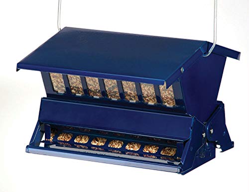 Casafoyer Electric Blue Absolute II - (Pack Of 2)