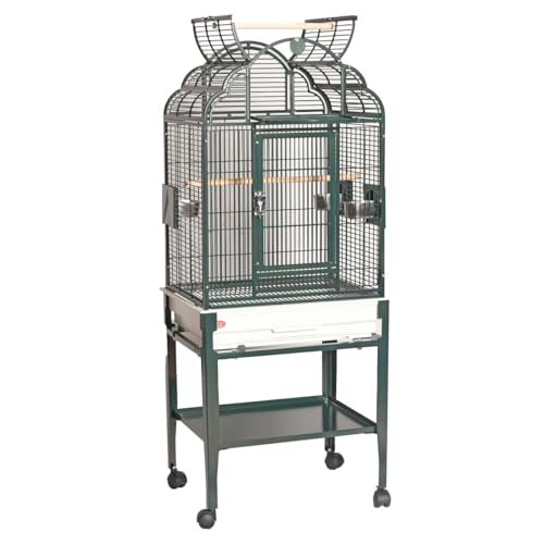 22x17??Victorian Top Cage with Plastic Base and Drop Down Door