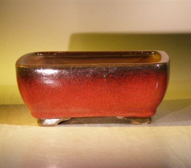 Parisian Red Ceramic Bonsai Pot - Rectangle<br><i>8.0 x 6.25 x 2.5</i>
