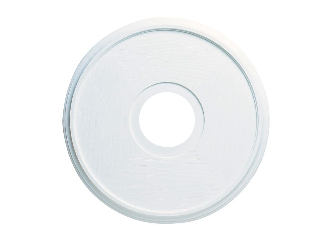 ROSETTE FAN 16 WHITE (Pack of 1)