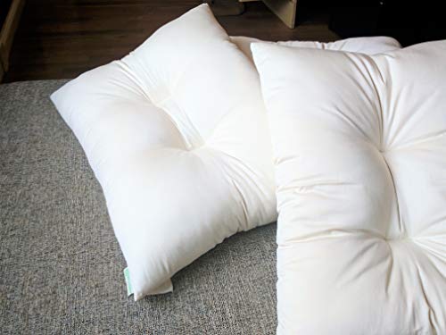Kapok KaPillow Standard Med Pillow w/zip in Org Sateen Sheeting Case