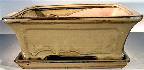 Olive Green Ceramic Bonsai Pot - Rectangle<br>Professional Series with Attached Humidity/Drip Tray<br><i>10.25 x 8.0 x 4.125 OD<br>9.0 x 7.0 x 3.25 ID</i>