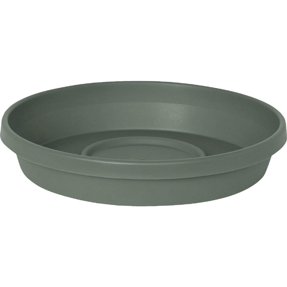 PLNT SCR TRRA GRN 10(Pack of 1)