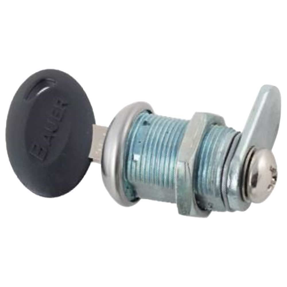 BAGGAGE DOOR CAM LOCK WIT