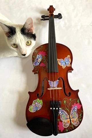 Butterfly Dream Viola Outfit, 16.5 in