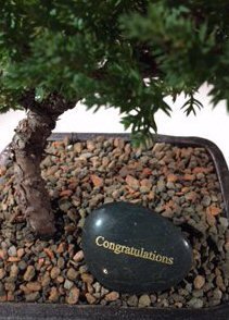 Personalized Skipping Stone<br>Congratulations