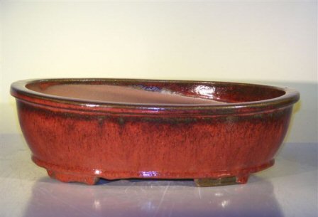 Parisian Red Ceramic Bonsai Pot - Oval<br><i>14.0 x 11.0 x 4.0</i>