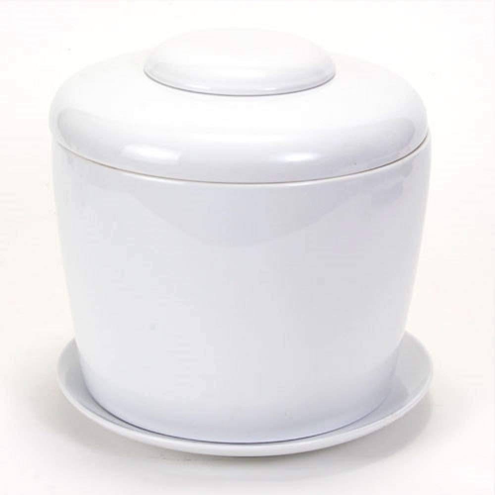White Porcelain Ceramic Bonsai Cremation Urn with Matching Humidity / Drip Tray