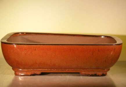 Aztec Orange Ceramic Bonsai Pot - Rectangle<br><i>14.0 x 11.5 x 4.0</i>