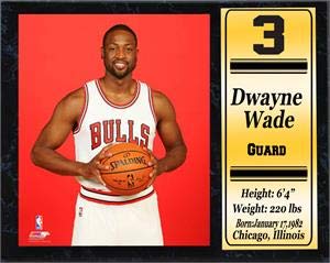 12x15 Stat Plaque - Dwayne Wade Chicago Bulls