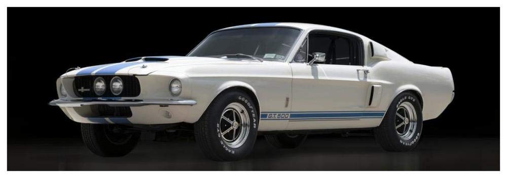 Shelby GT500-Paper Art-74x26”