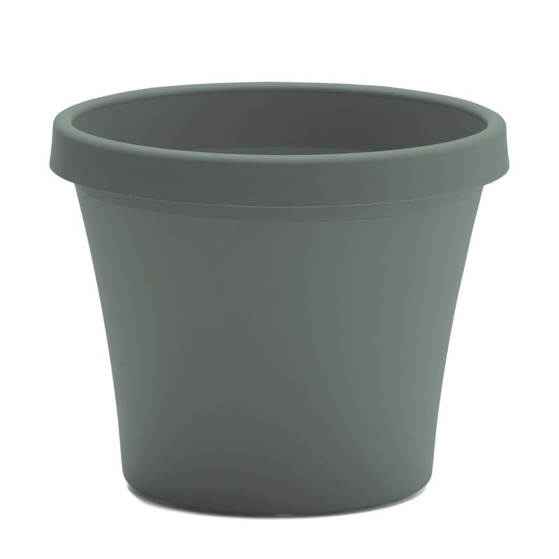 PLNTR TRDTNL GRN 17.25(Pack of 1)