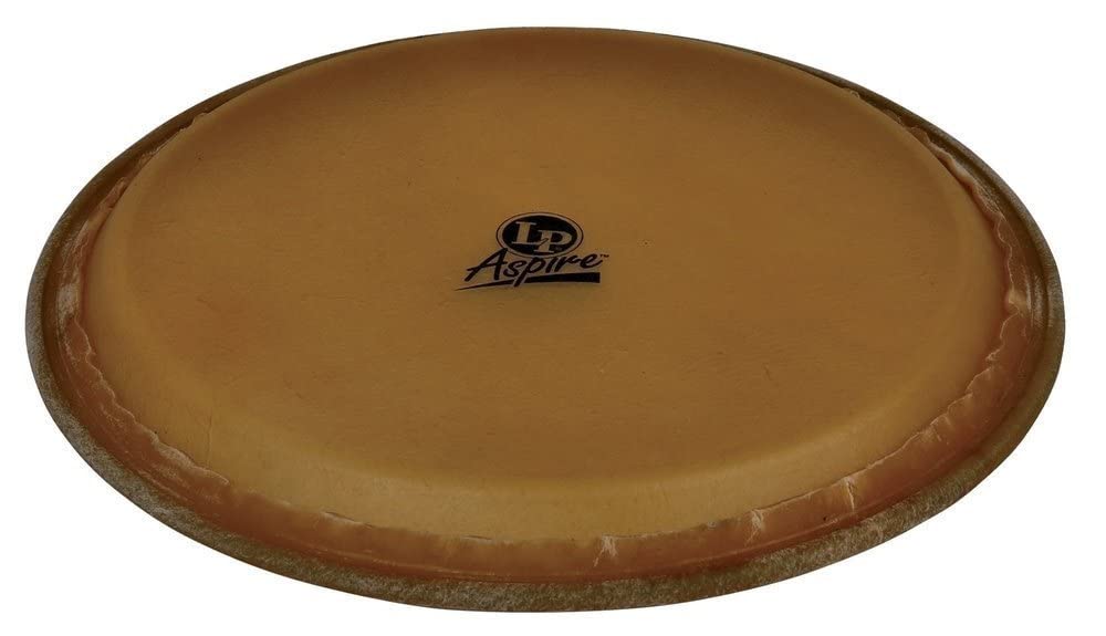 LP Aspire 10 Rawhide Quinto Head