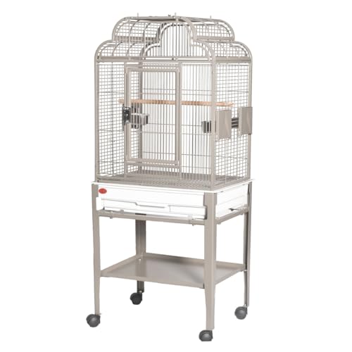 22x17??Victorian Top Cage with Plastic Base