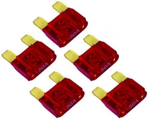 Xscorpion 100 Amp Fuses 5Per Bag