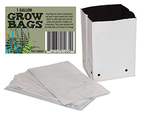 1 Gal. B&W PE Grow Bag (100 per pack)