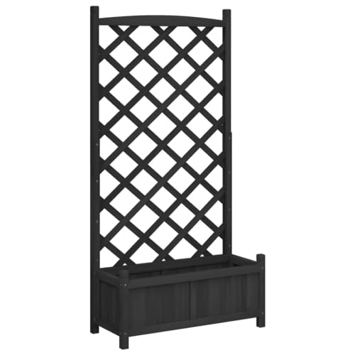 Casafoyer  Planter with Trellis Black Solid Wood Fir - (Pack Of 2)