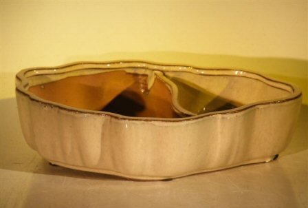 Biege Ceramic Bonsai Pot - Oval Land/Water  with Scalloped Edges  9.5 x 7.5″ x 2.25″
