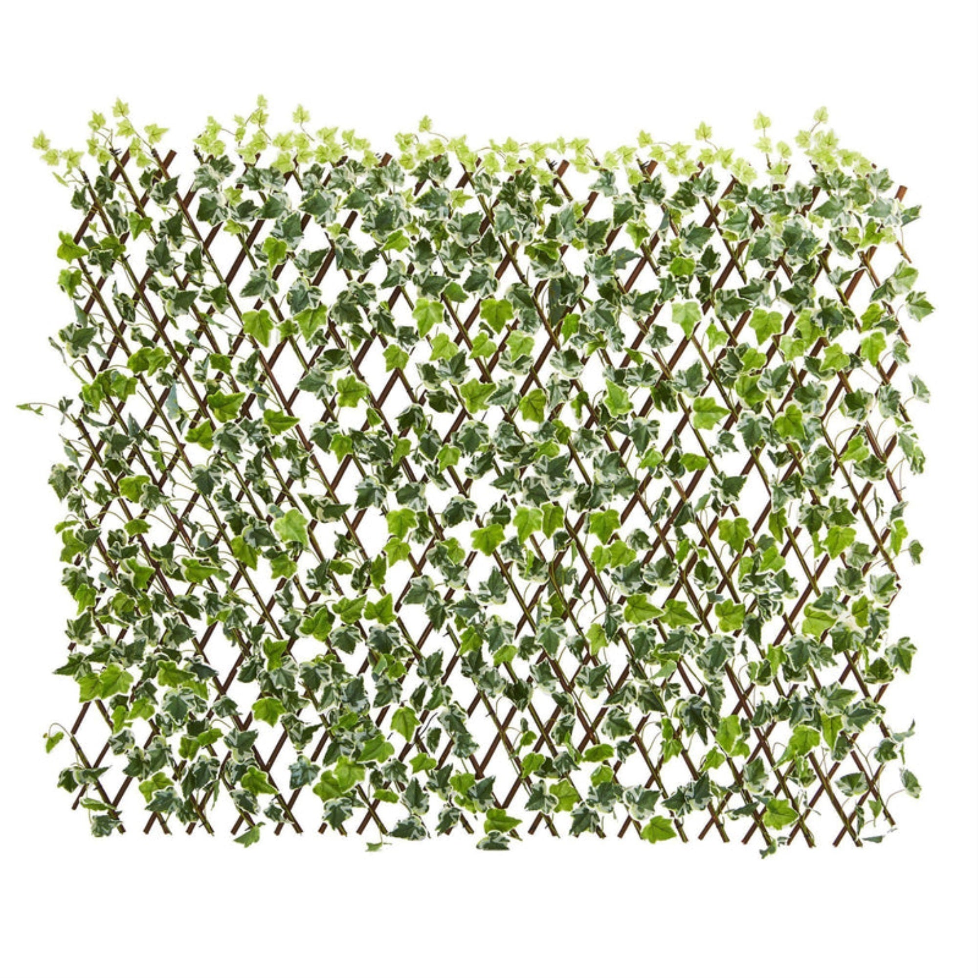 39??English Ivy Expandable Fence UV Resistant & Waterproof