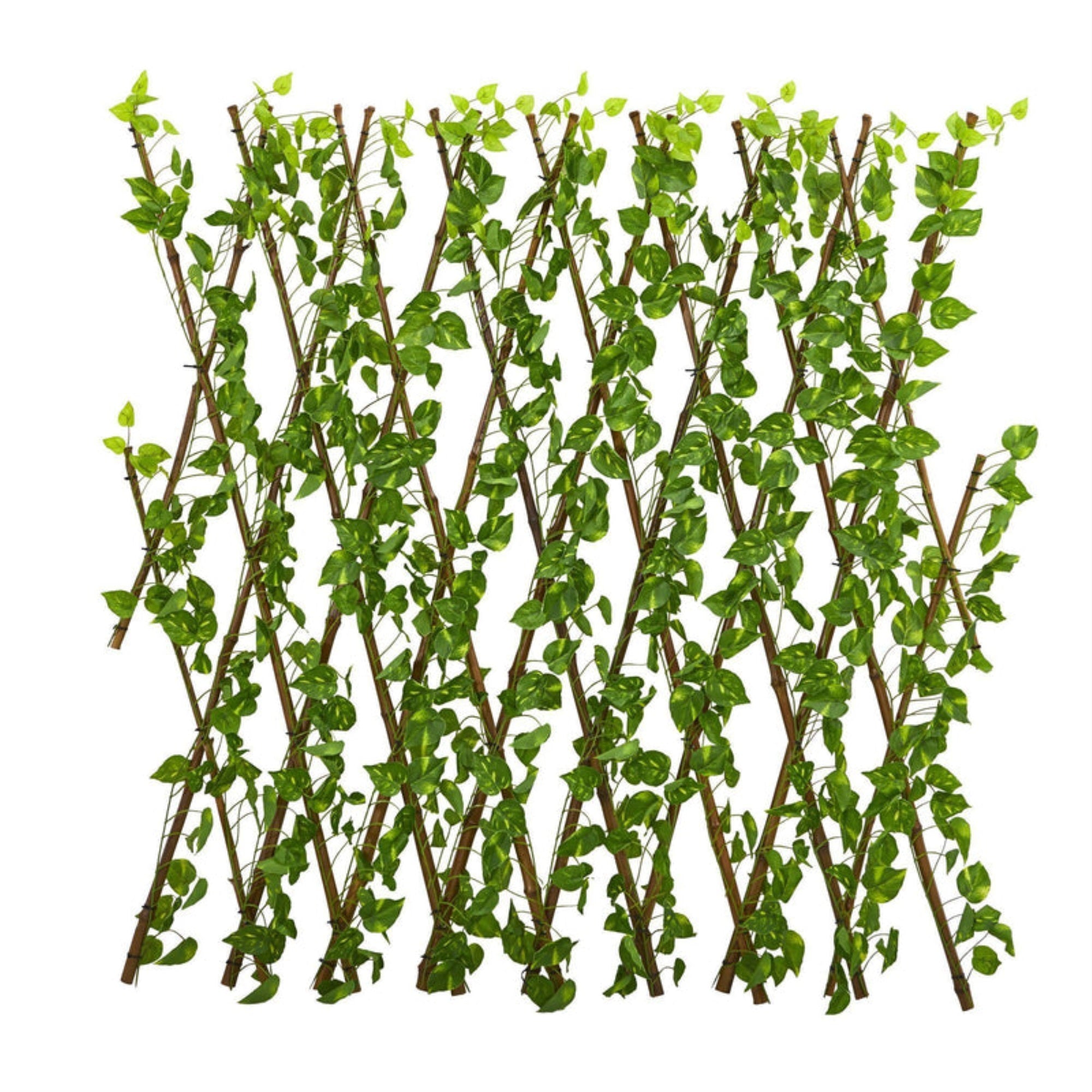 47??Pothos Expandable Fence UV Resistant & Waterproof