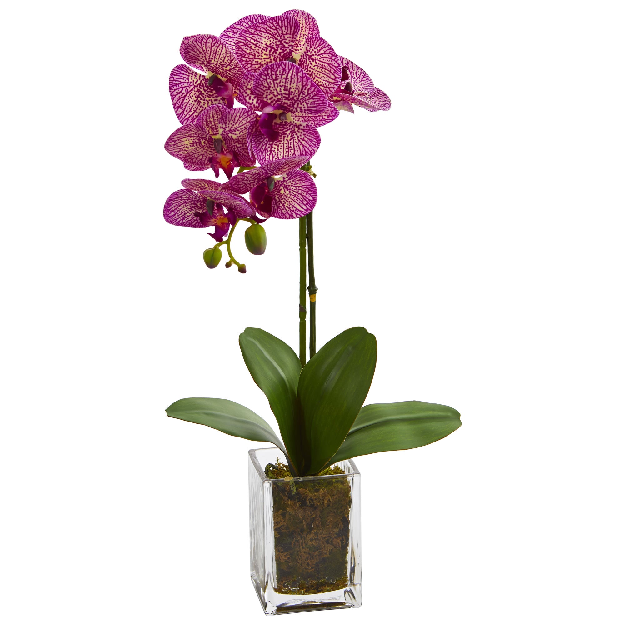 24 Orchid Phalaenopsis Artificial Arrangement in Vase