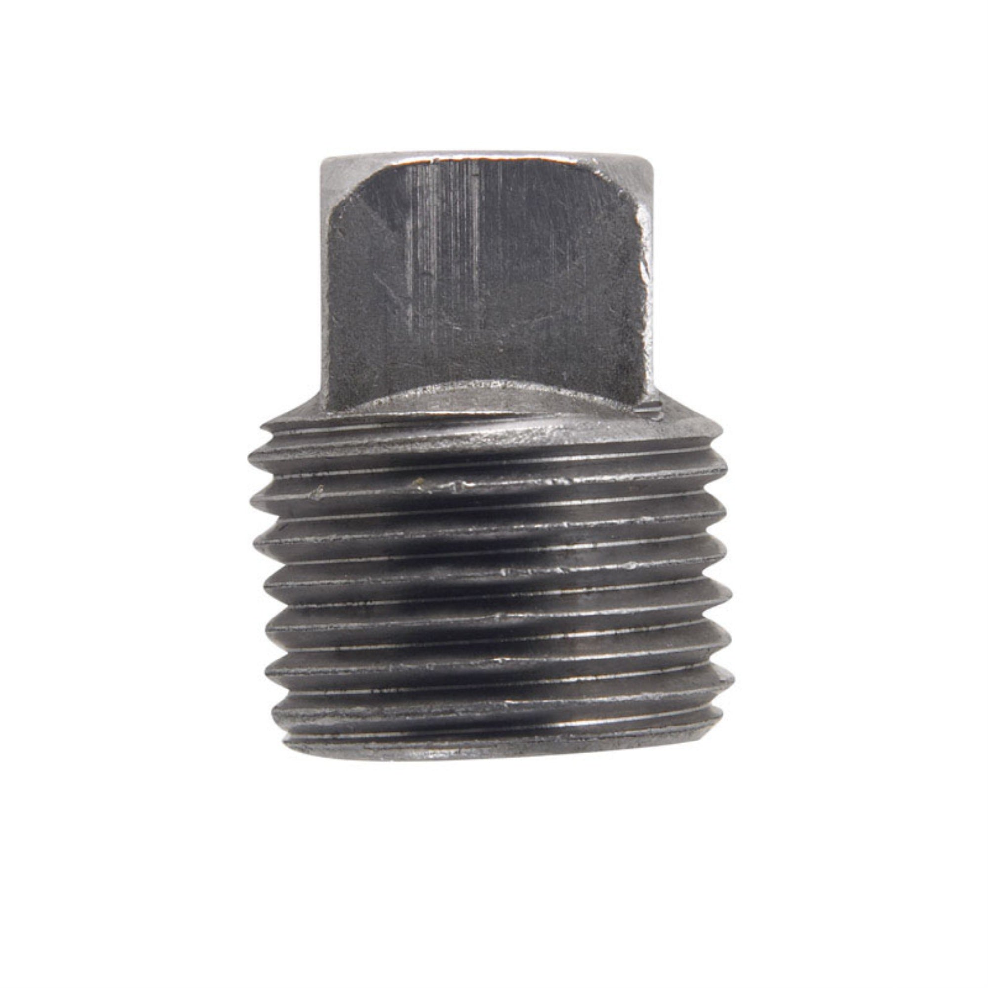 Plug Sq Head 1/2 Black (Pack Of 5)