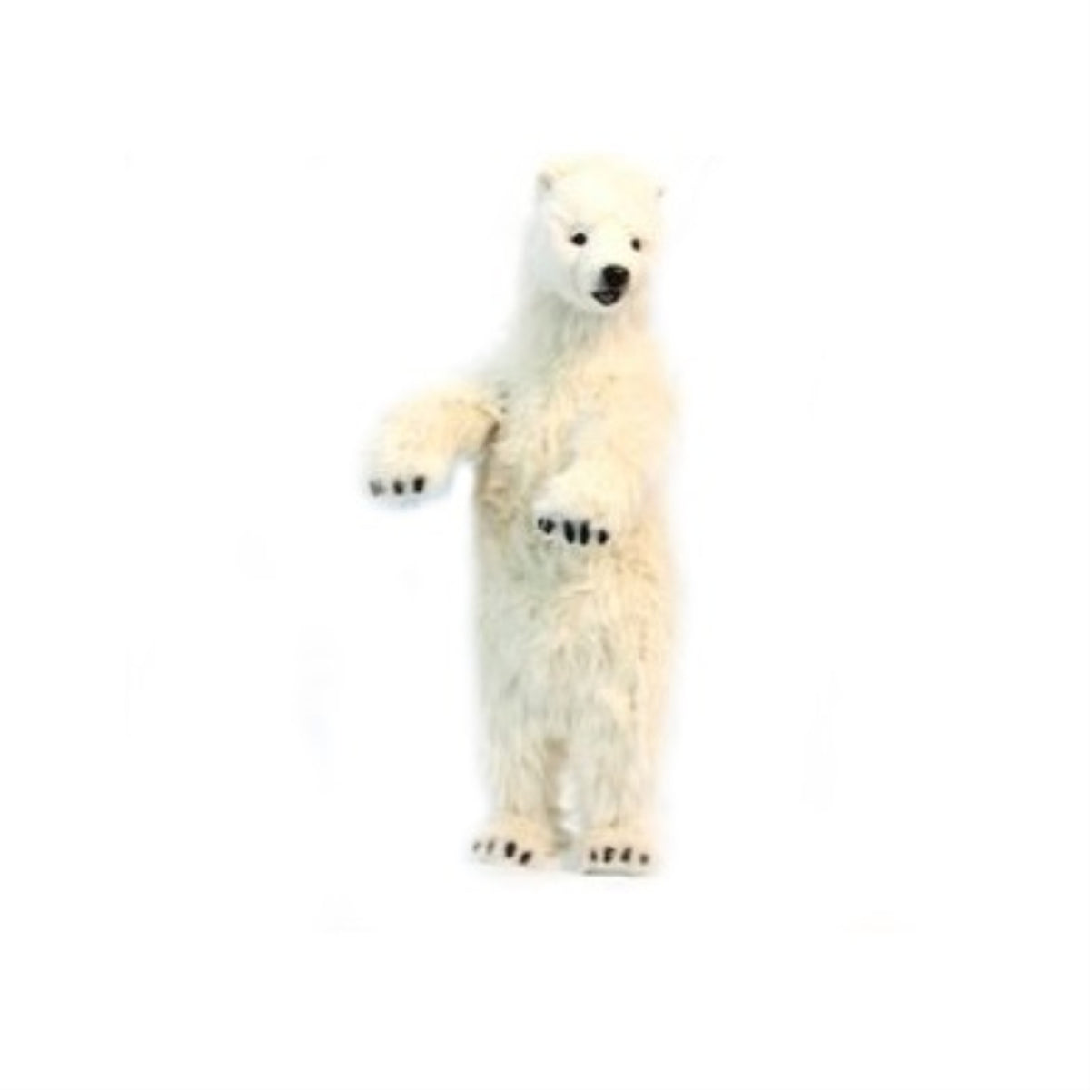 Polar Cub Upright 39'H