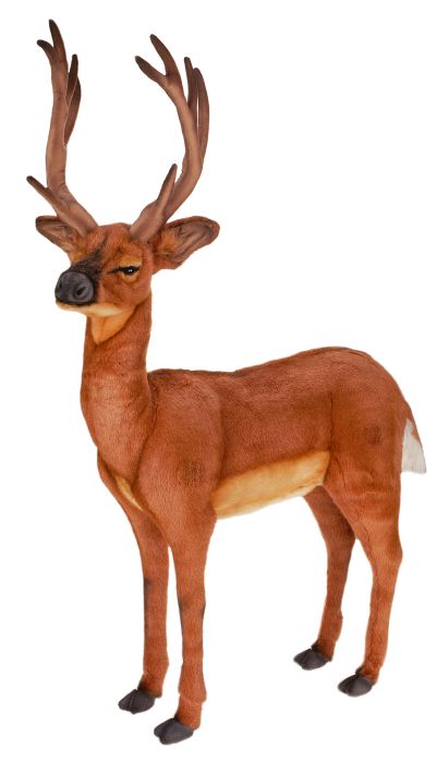 Deer, White Tailed 30'L X 42''H